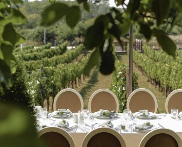 Vineyards – a source of strength and inspiration