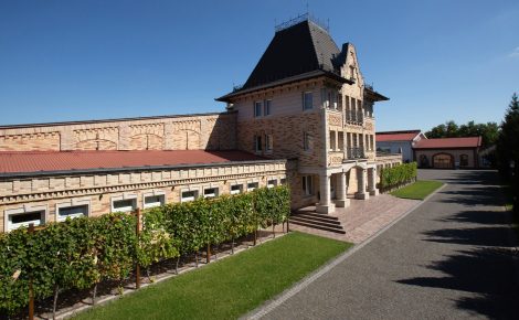 Chateau Chizay Becomes the First Winery in Ukraine to Sign the Porto Protocol