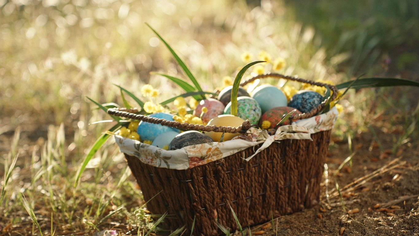 Cité des Climats et Vins de Bourgogne