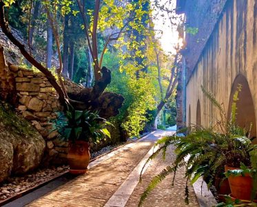 A winery born within the walls of a centuries old monastery