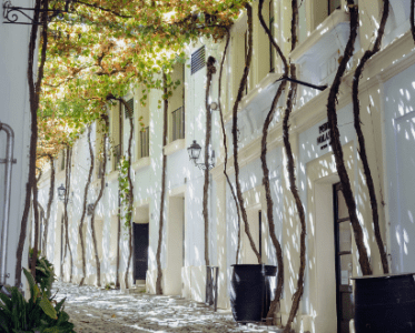 Hotel Bodega TÍO PEPE