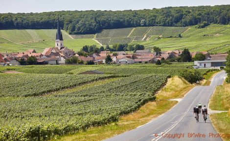 BKWine Tours Presents Grand Burgundy & Champagne Wine Journey 2026