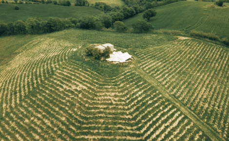 Fattoria La Maliosa to Host the First Porto Protocol Community Day on 14 November 2026