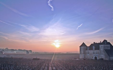 Château du Clos de Vougeot: Where Wine, Gastronomy, and Music Shape Modern Burgundy