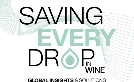Porto Protocol Releases Global Report on Water in Winemaking