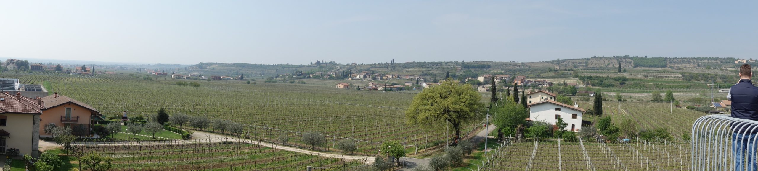 Cantina Valpolicella Negrar