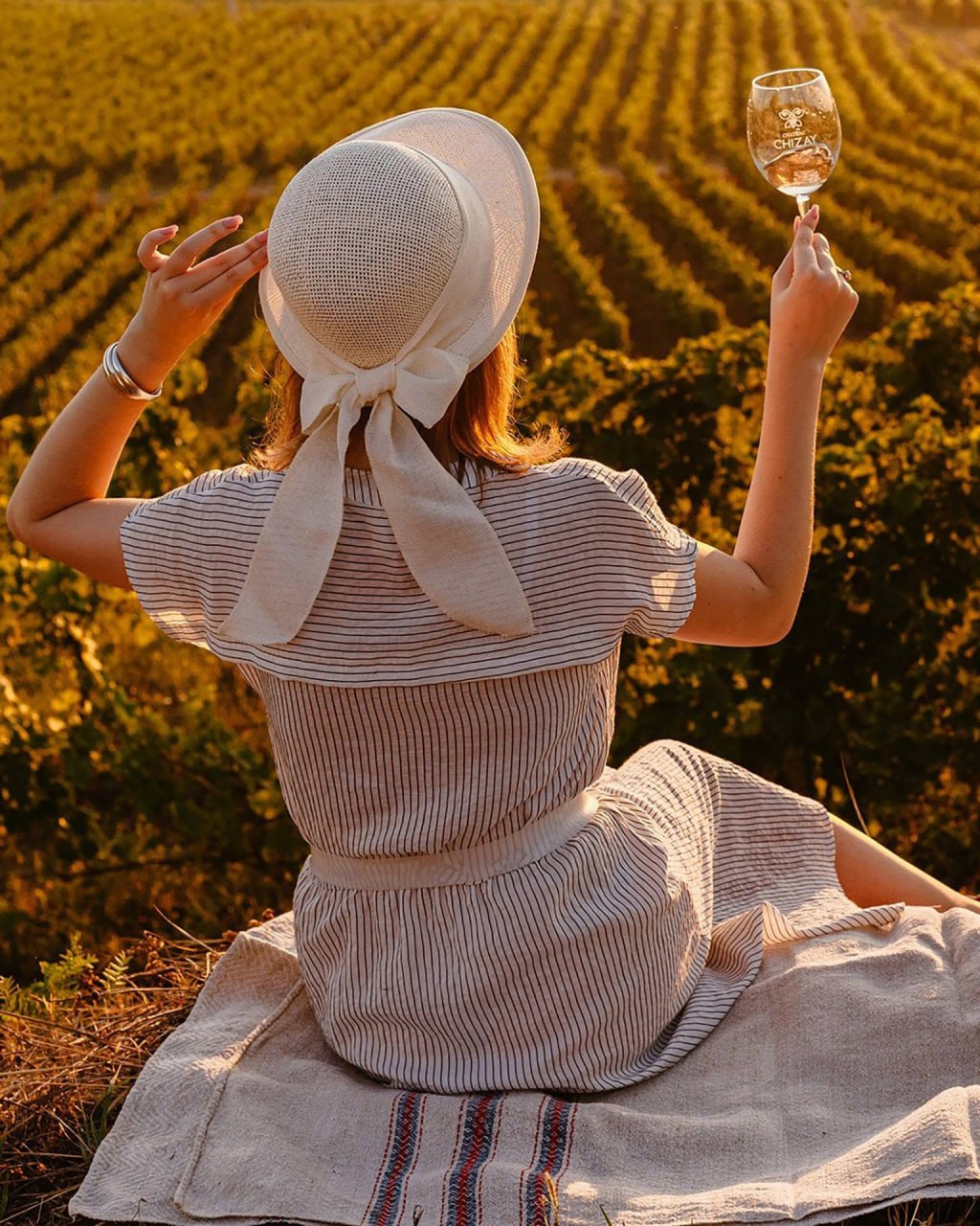 Chateau Chizay