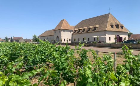 Robin Jayet of Château de Marsannay: “Wine tourism should give people something they cannot get from social media”