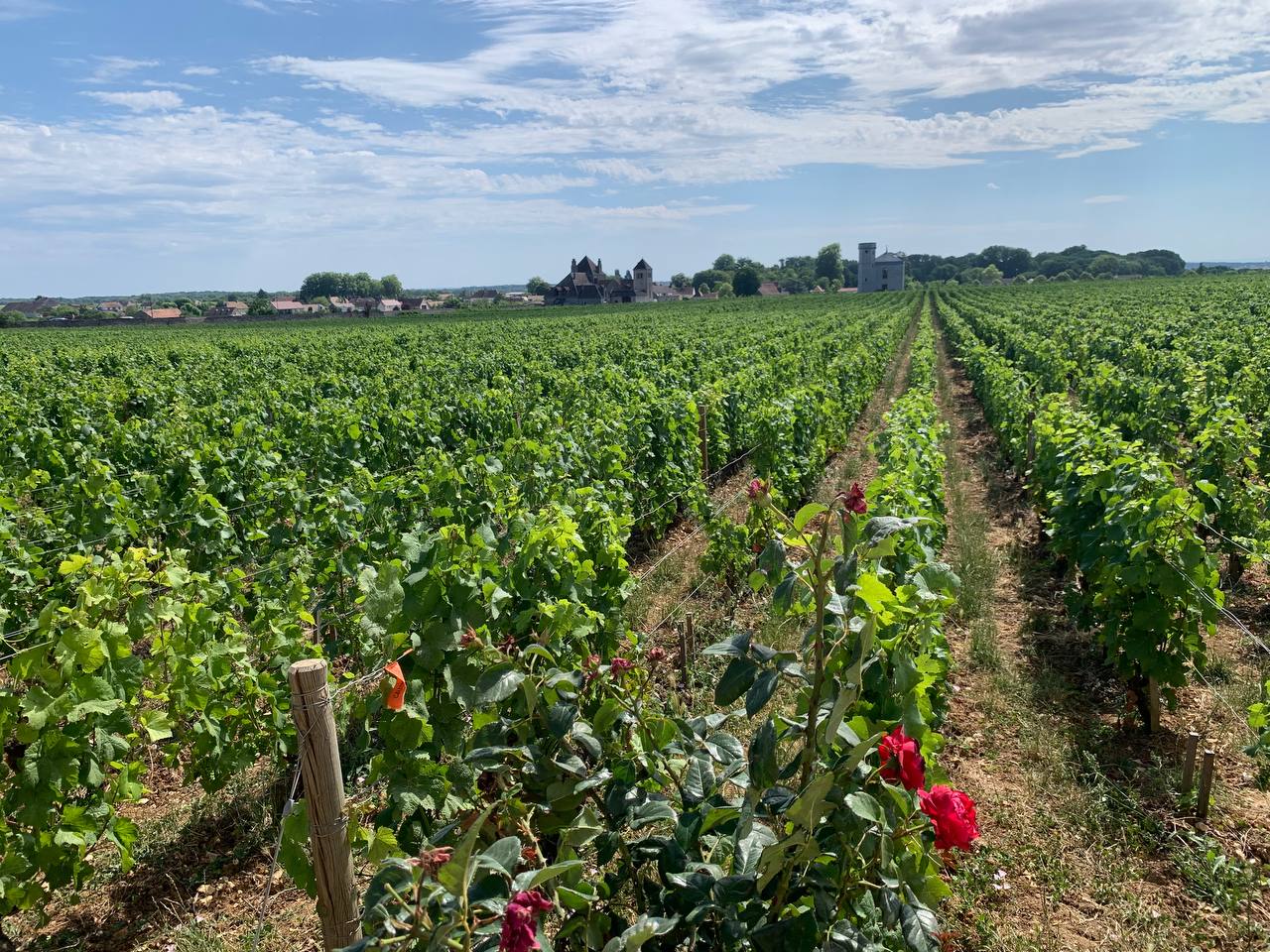 Château du Clos de Vougeot 