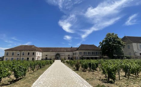 Francine Picard’s Quiet Revolution: The Haute Couture of Burgundy
